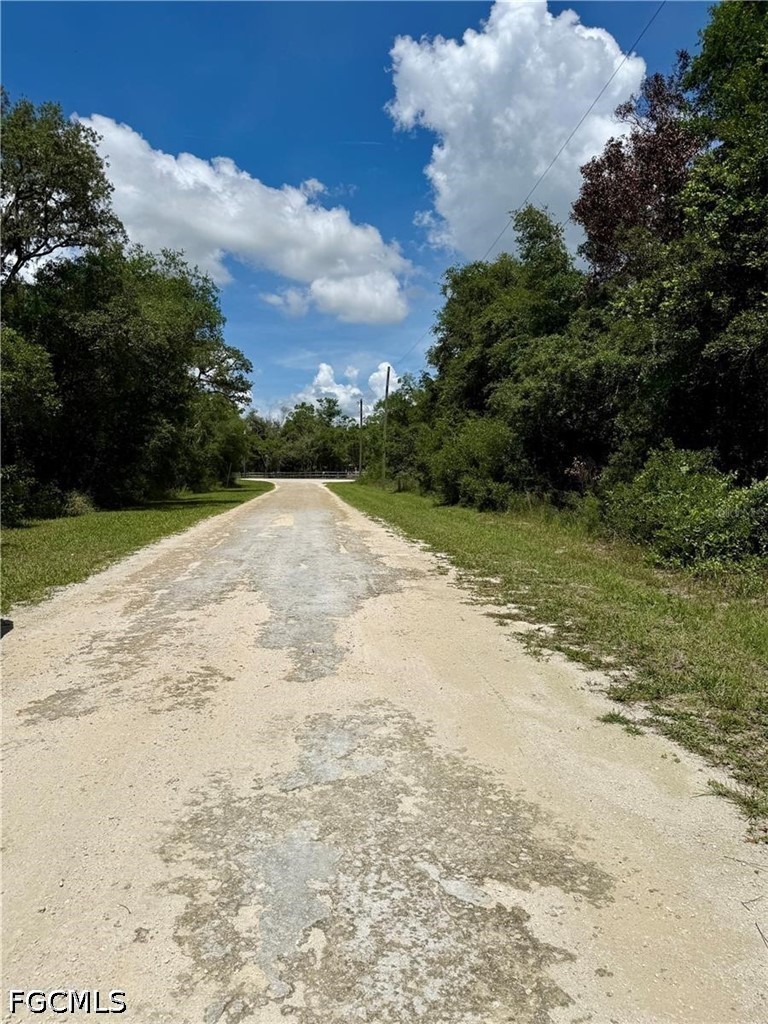 Lot 10 Long Cir Property Photo 4