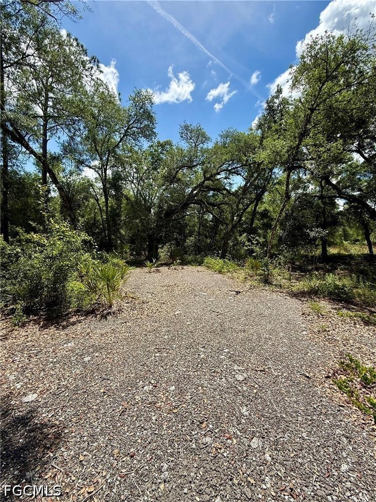 Lot 10 Long Cir Property Photo 6