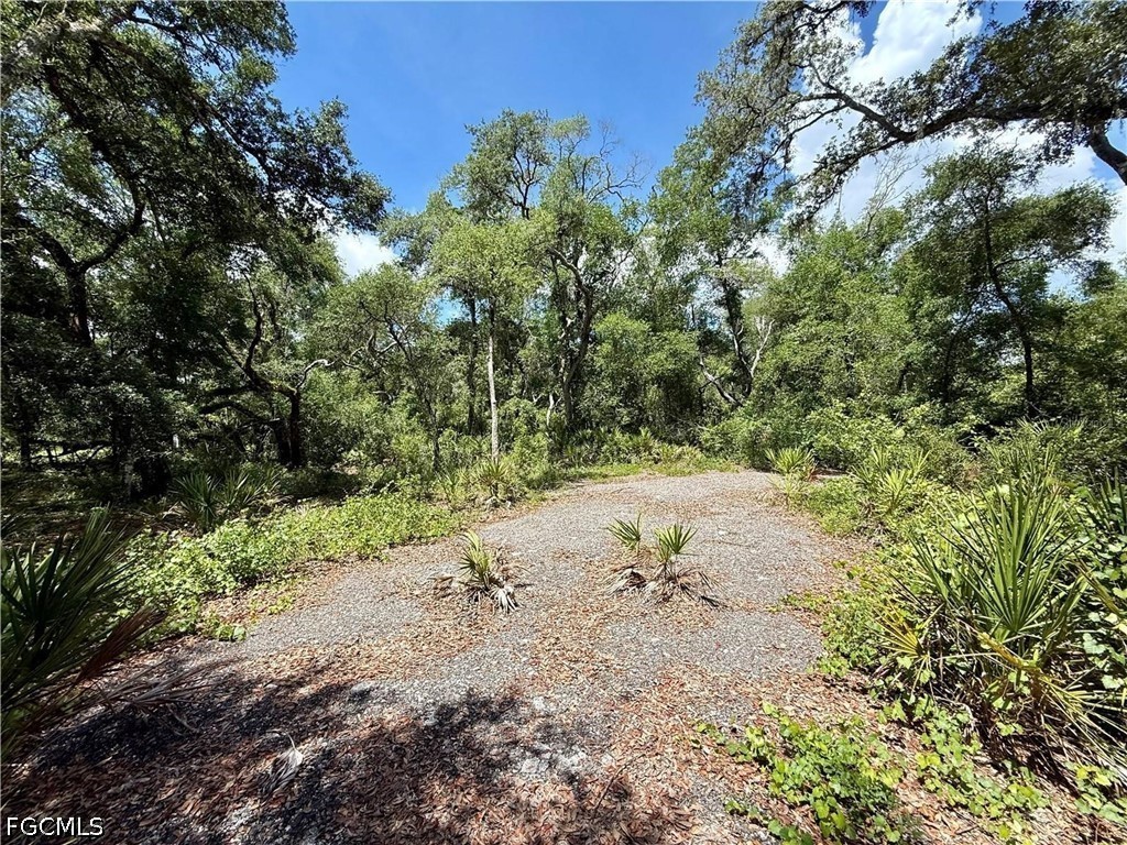 Lot 10 Long Cir Property Photo 7