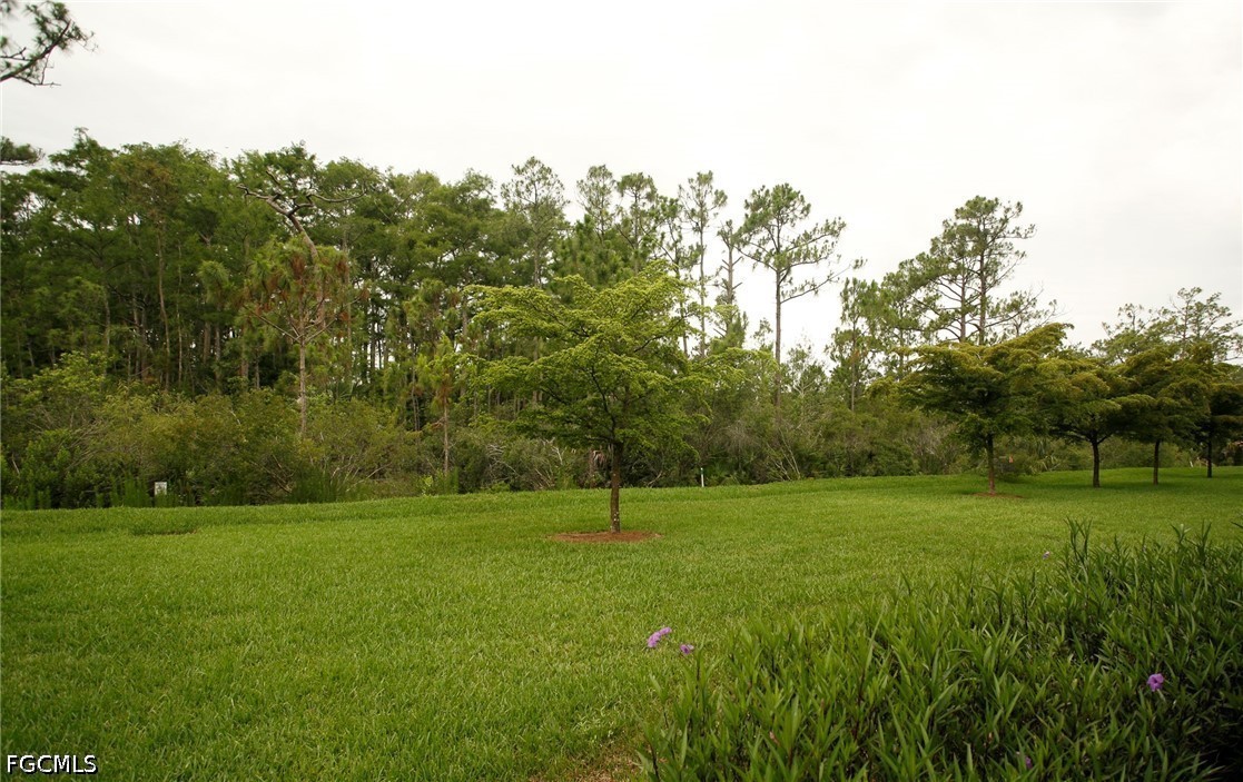 11070 Esteban Dr Property Photo 21