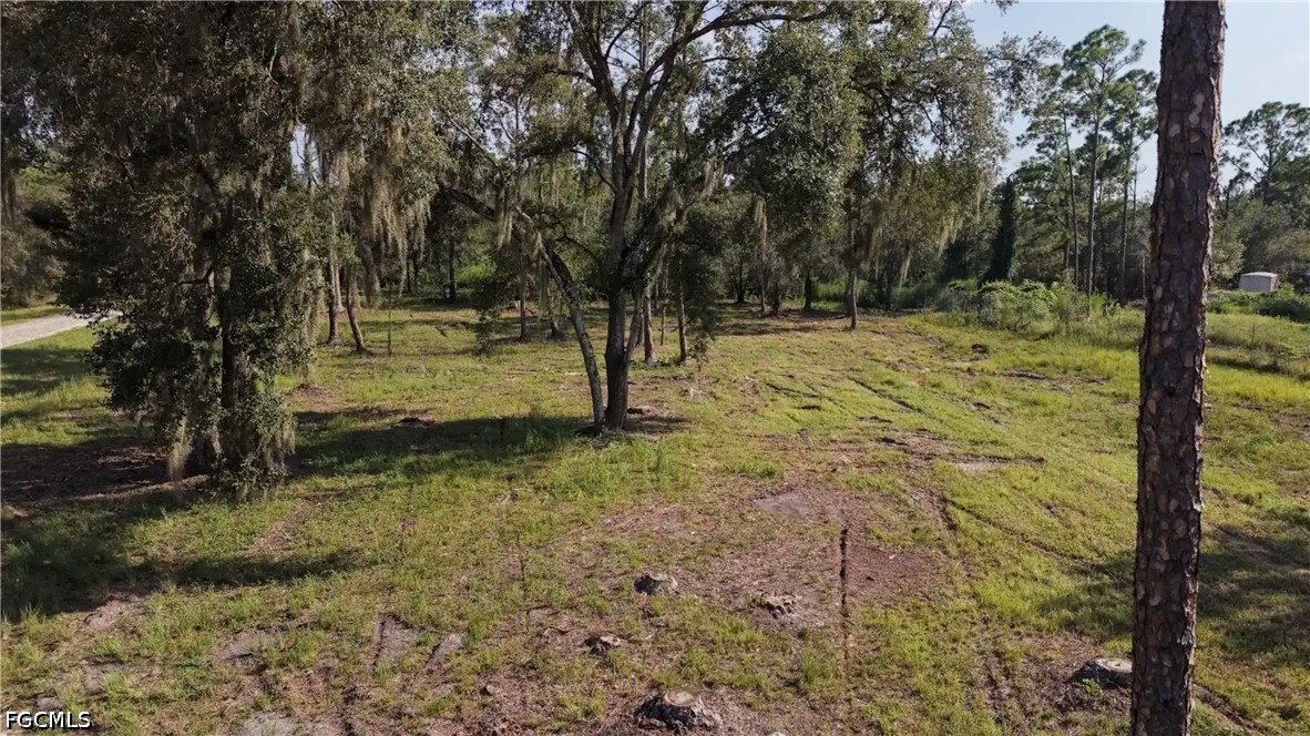 166 Avenida Del Sur Property Photo 12