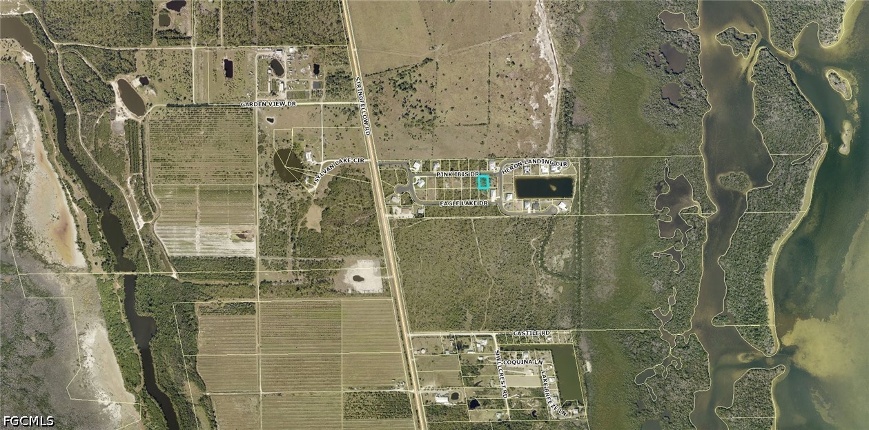 3511 Pink Ibis Dr Property Photo 3