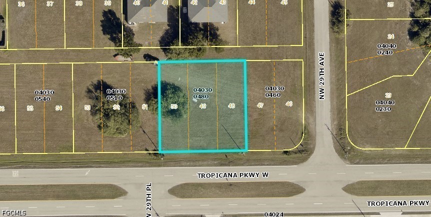 2907 Tropicana Pkwy W Property Photo 3