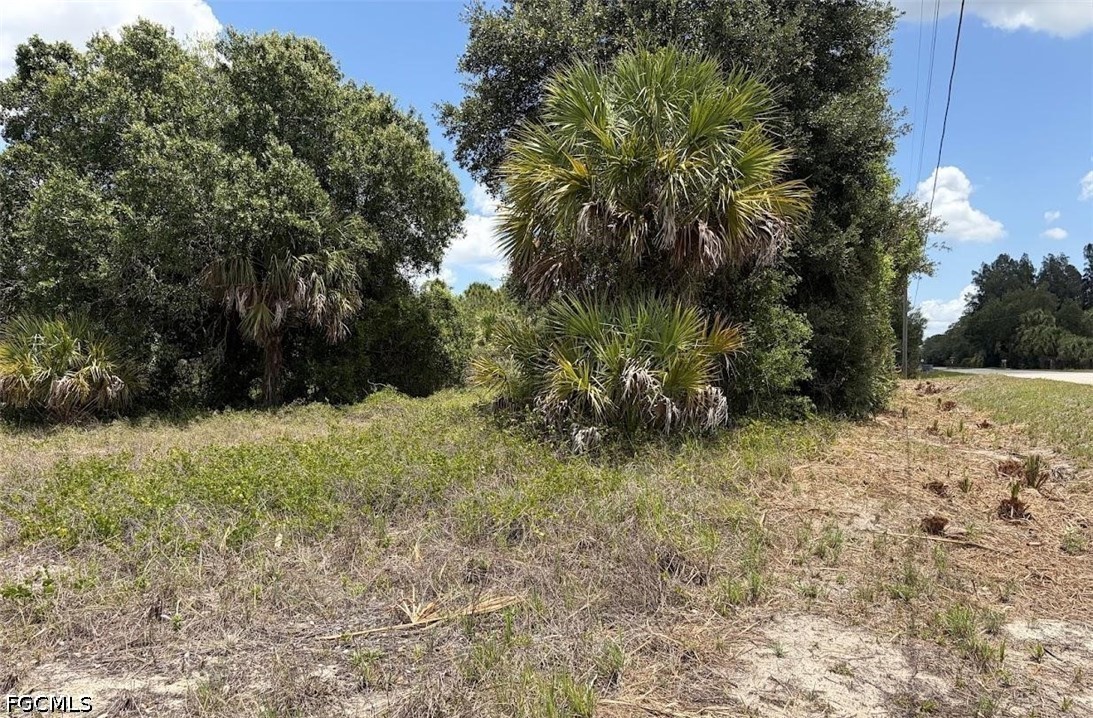 1201 Homestead Ave Property Photo 18