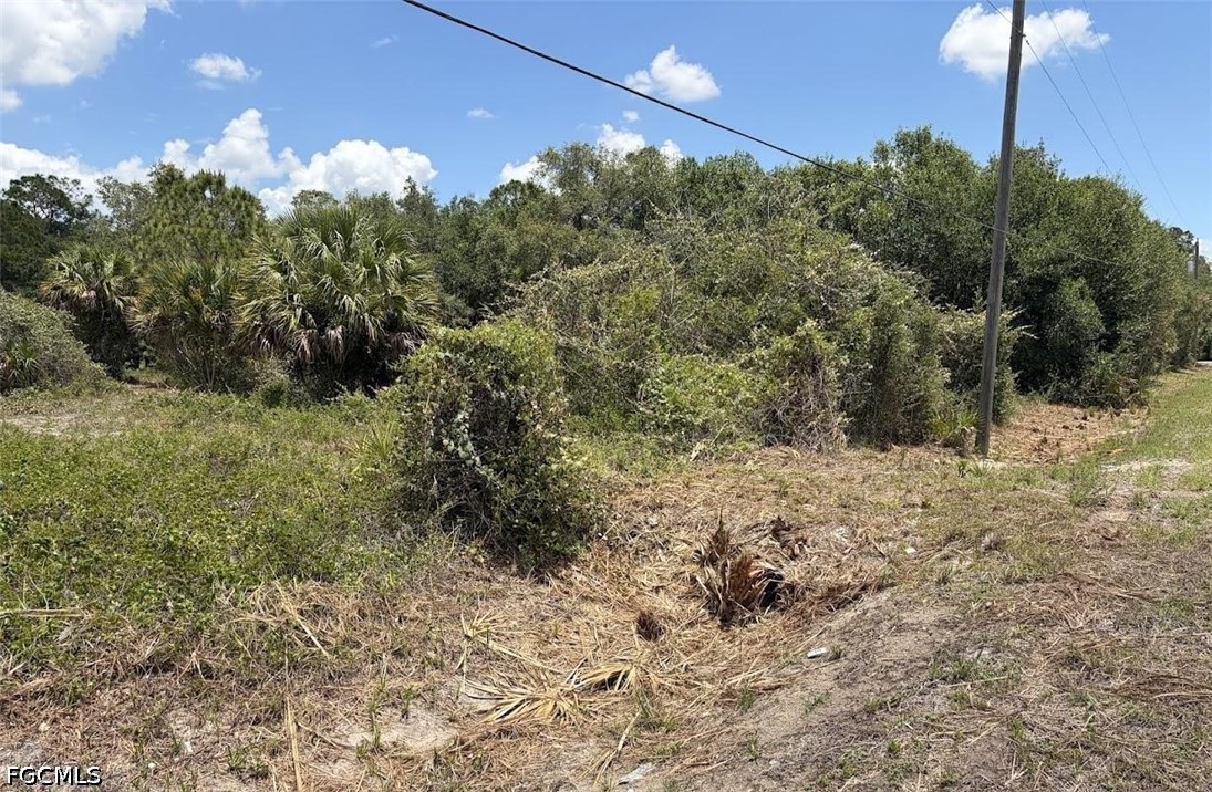 1201 Homestead Ave Property Photo 21