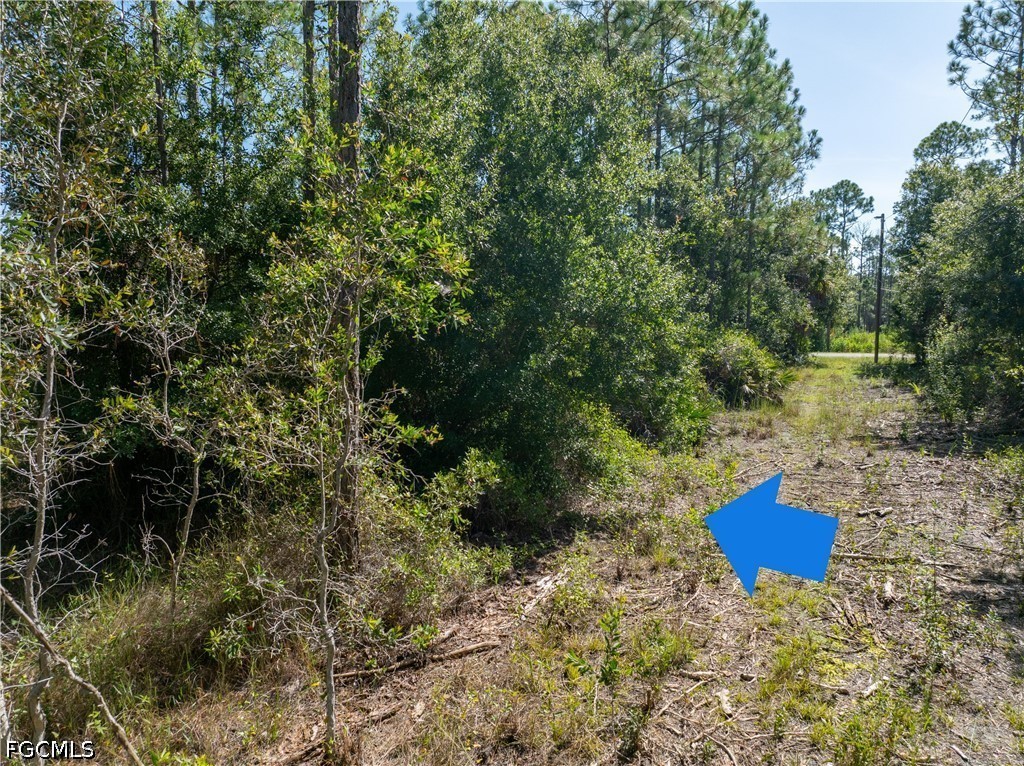 28093 Argyle Dr Property Photo 4