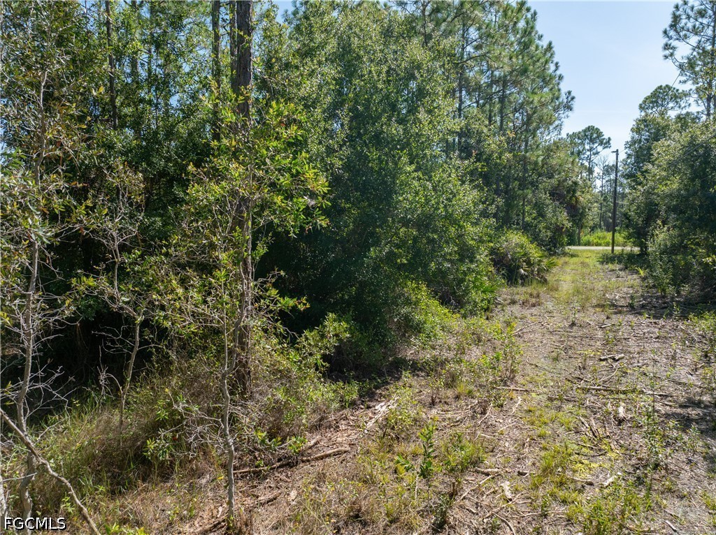 28093 Argyle Dr Property Photo 7