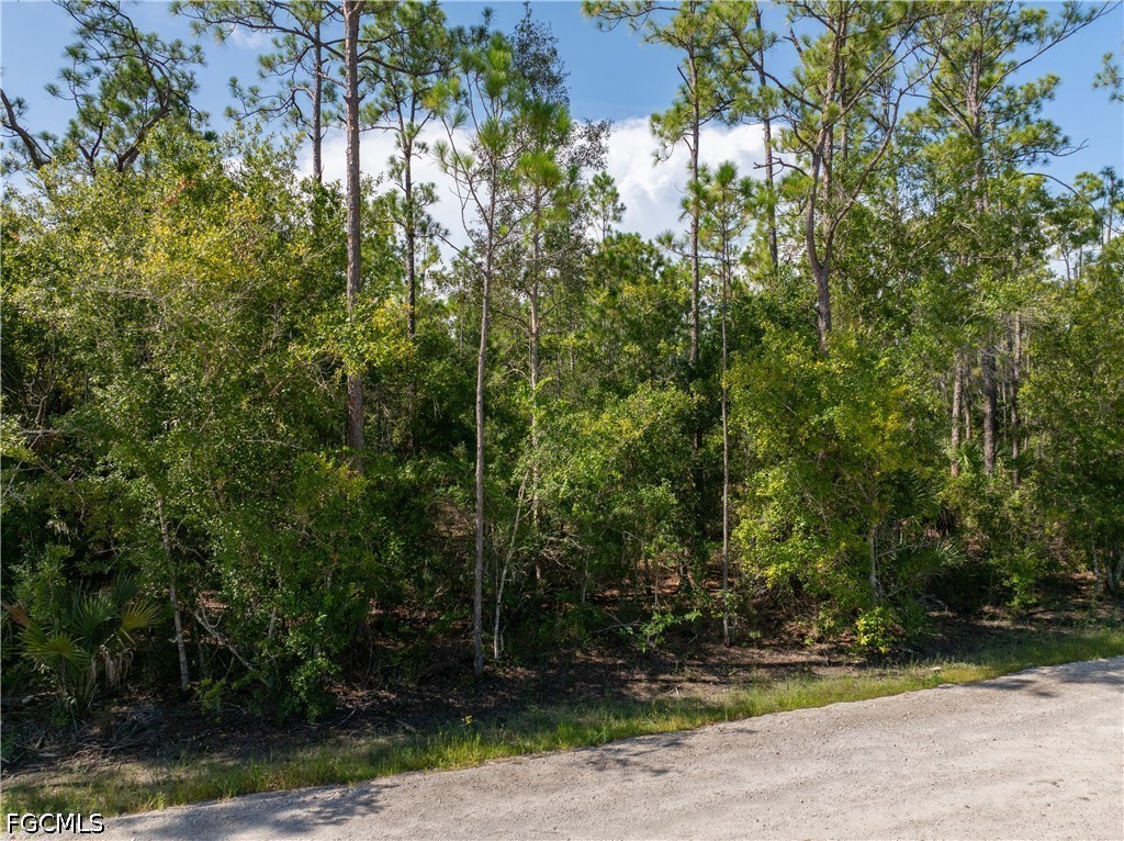 28093 Argyle Dr Property Photo 17