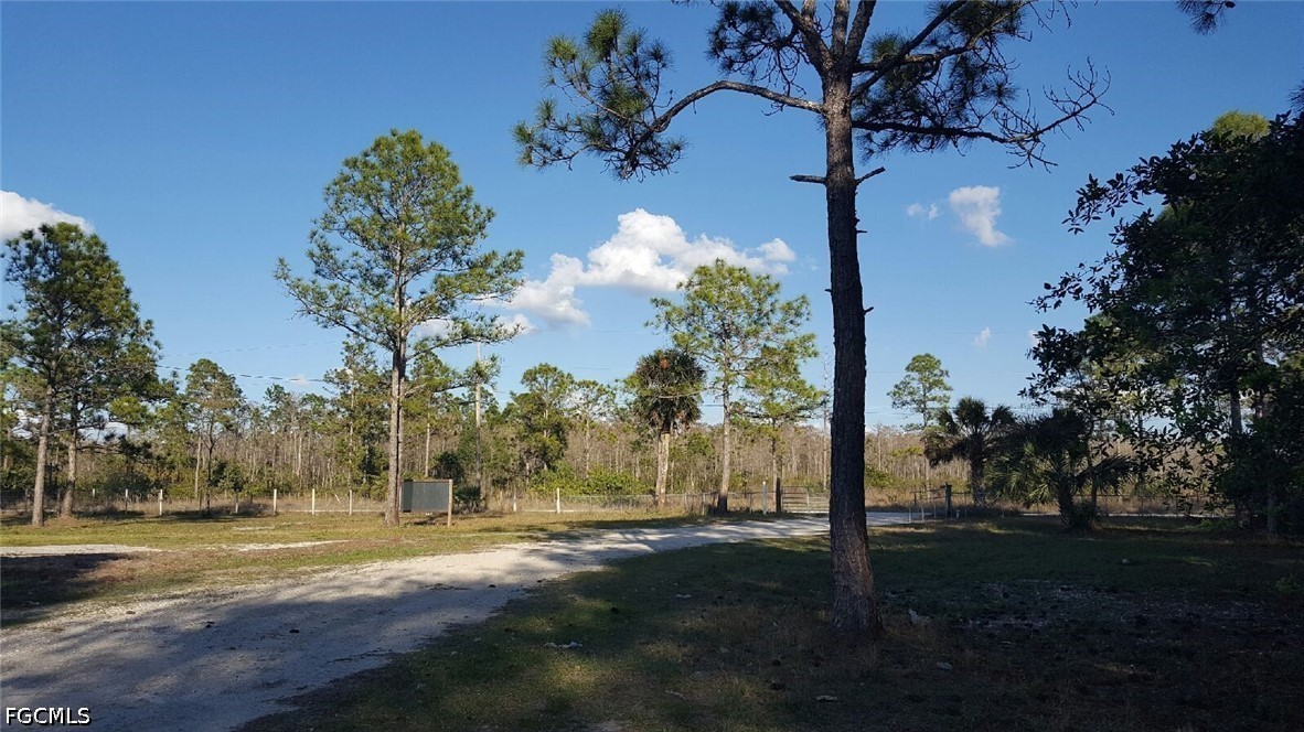 16960 Wildcat Dr Property Photo 8