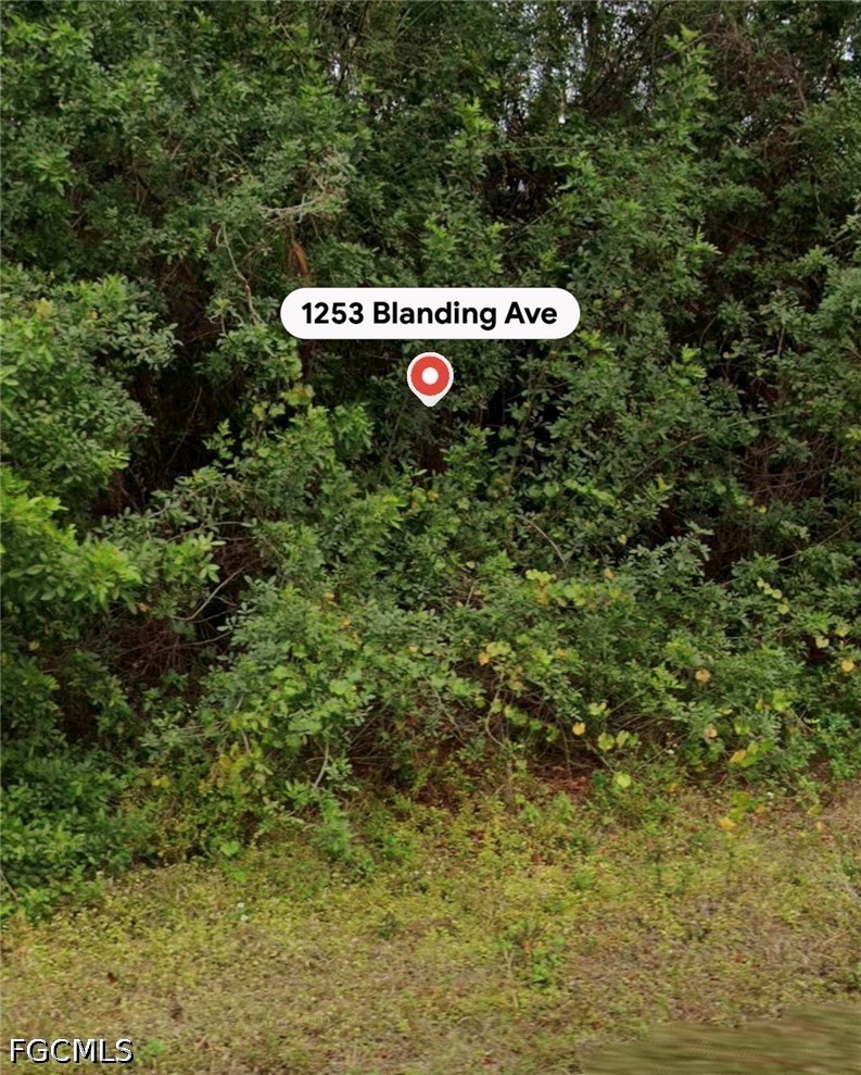 1253 Blanding Ave Property Photo 4