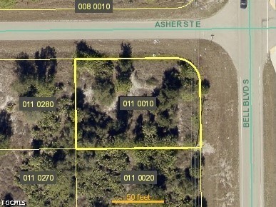 906 Bell Blvd S Property Photo 5