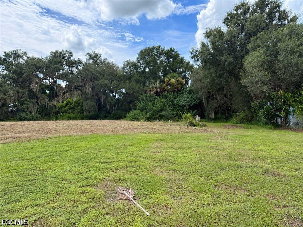 869 Avalon Ave Property Photo 4