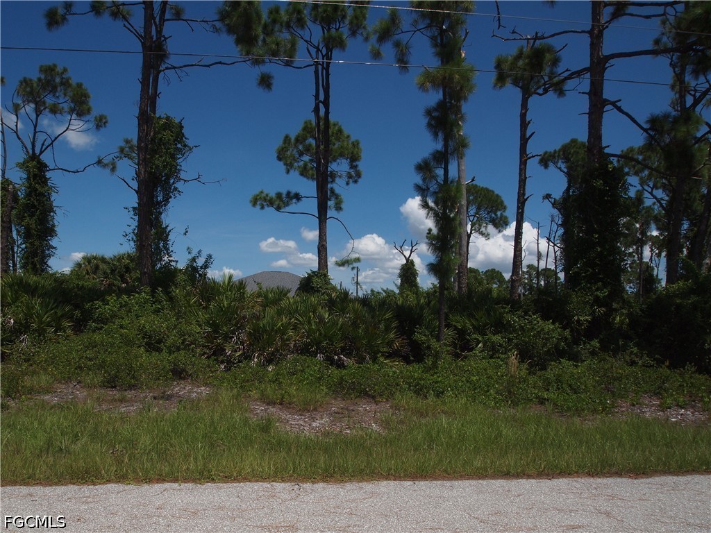 12280 Dabney Ct Property Photo 4