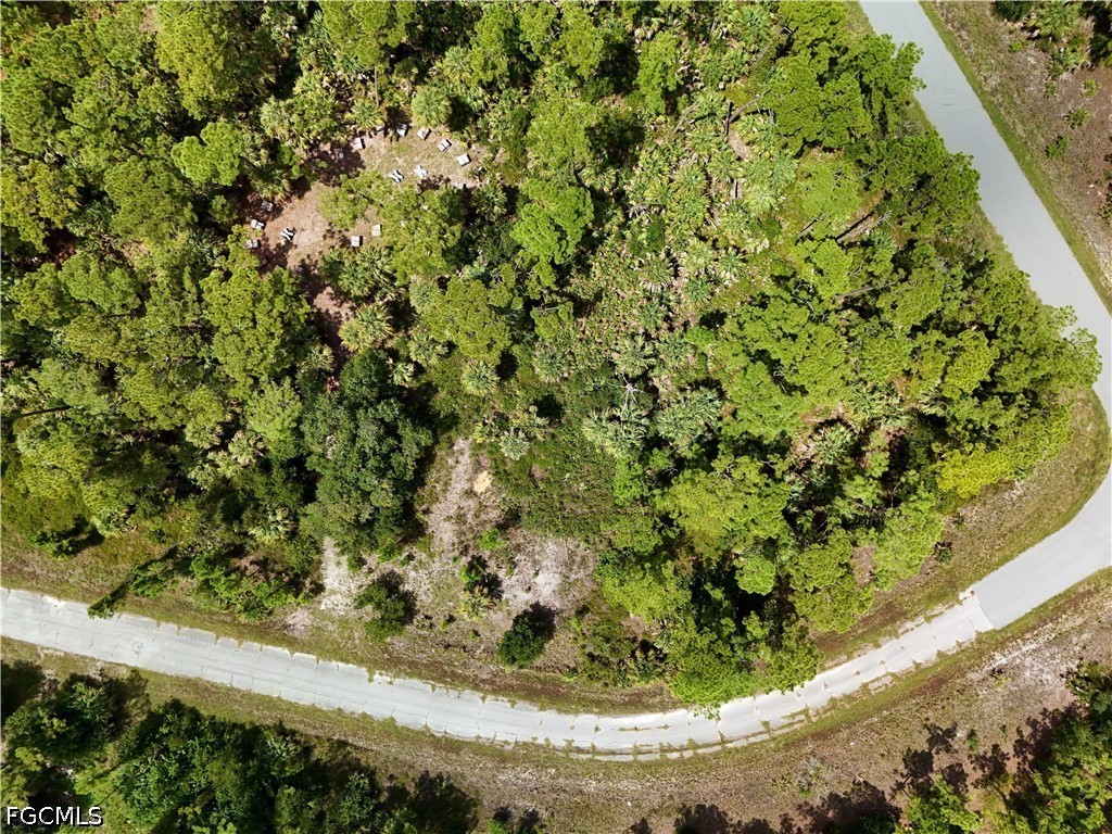 Legend Ln Property Photo 31