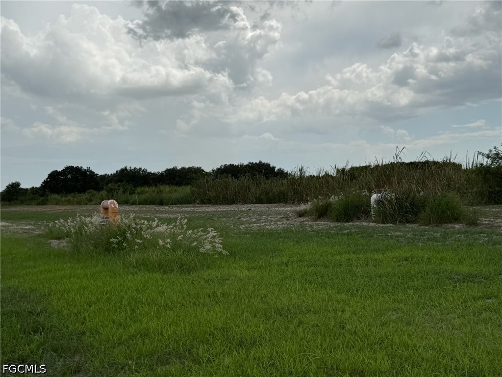 4495 1st Rd Property Photo 8
