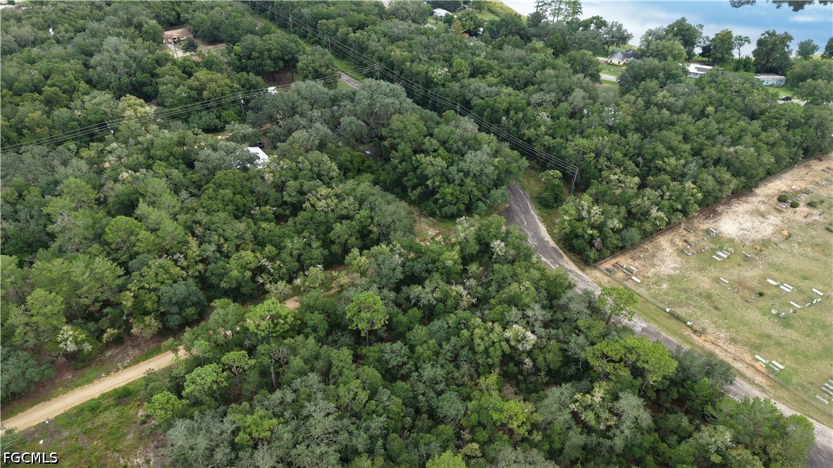 Crocus Ln Property Photo 5