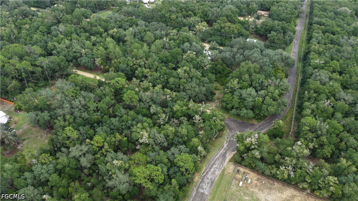 Crocus Ln Property Photo 6