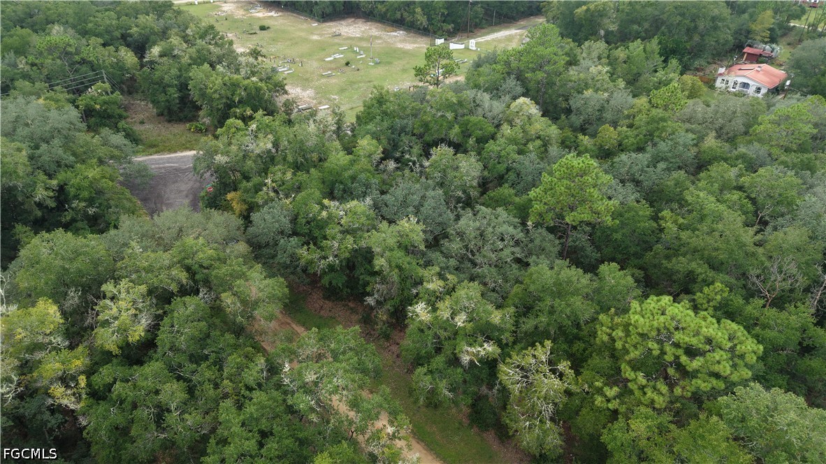 Crocus Ln Property Photo 9