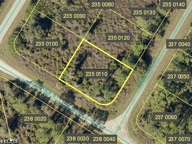 1917 Mary Lee ST Property Photo 1