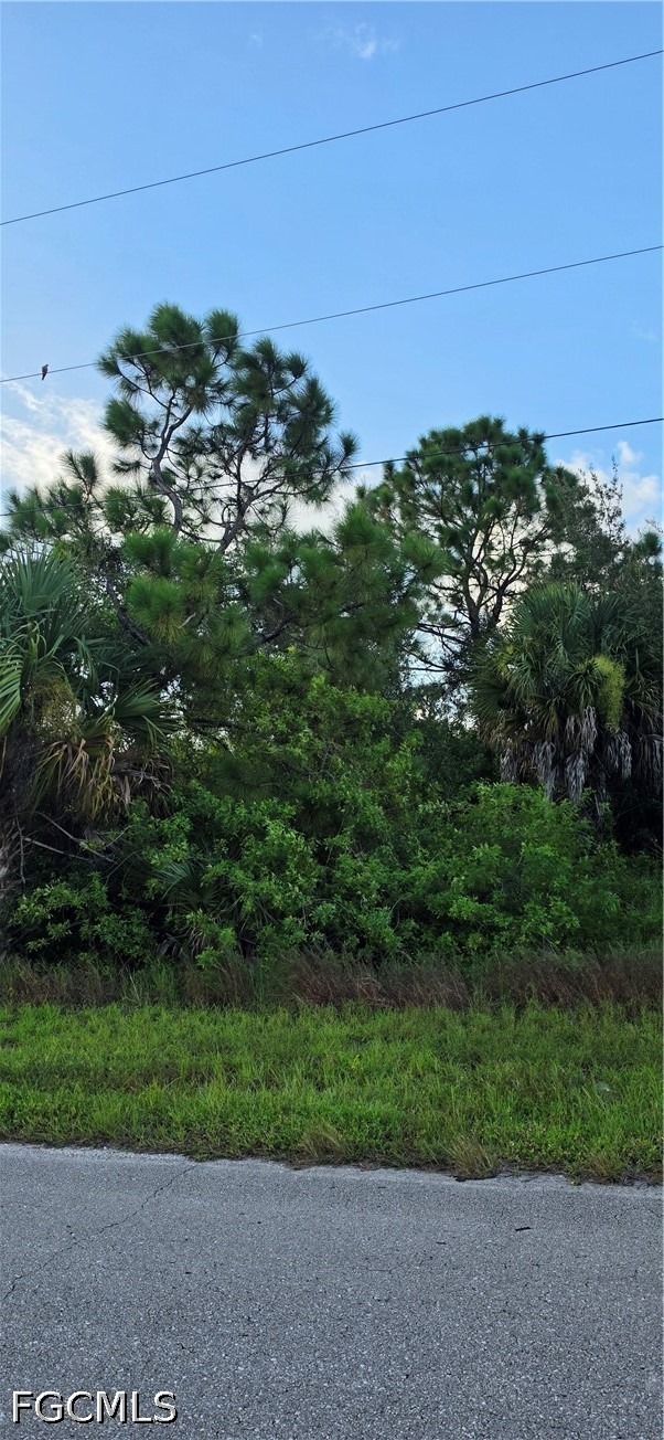851 Spaulding St E Property Photo 4