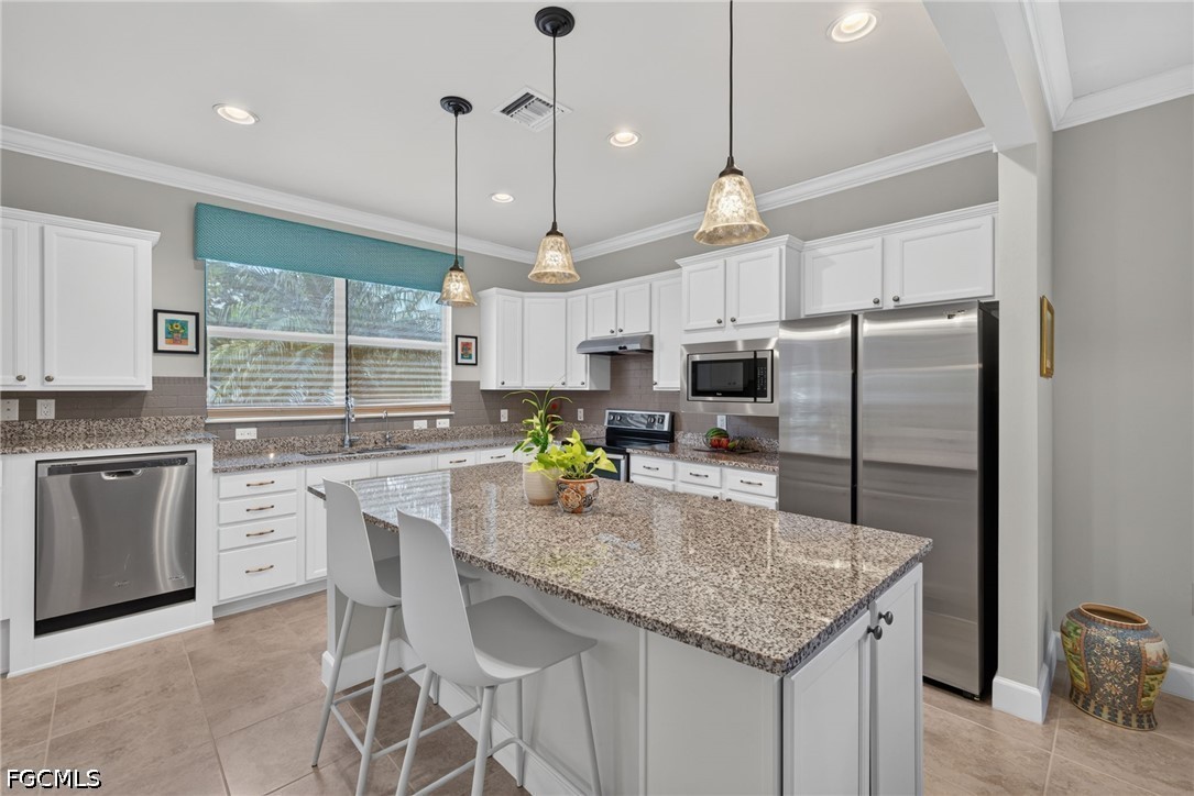 20312 Corkscrew Shores Blvd Property Photo 9
