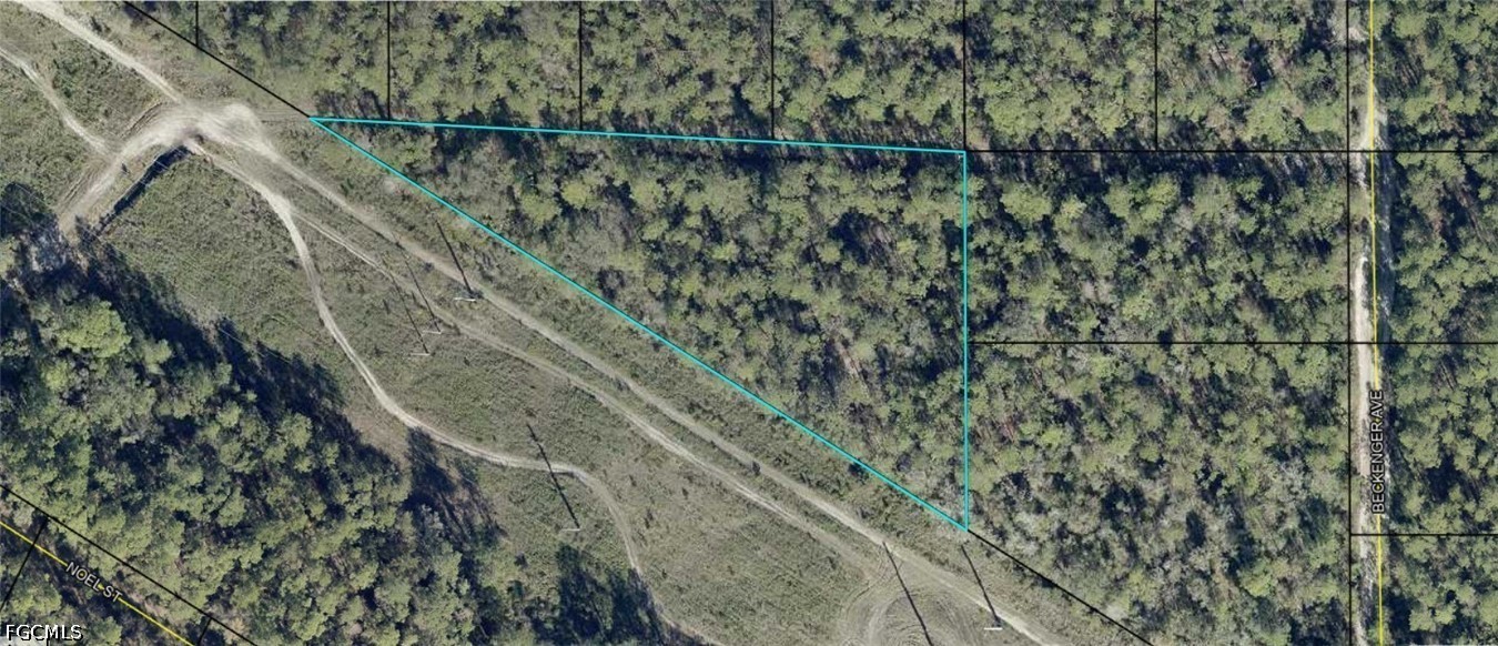 Eddie St Property Photo 1