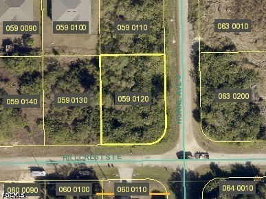 1229 Hillcrest St E Property Photo 1