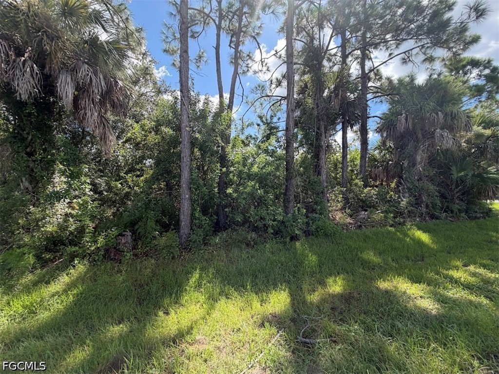 1368 Commerce St Property Photo 8