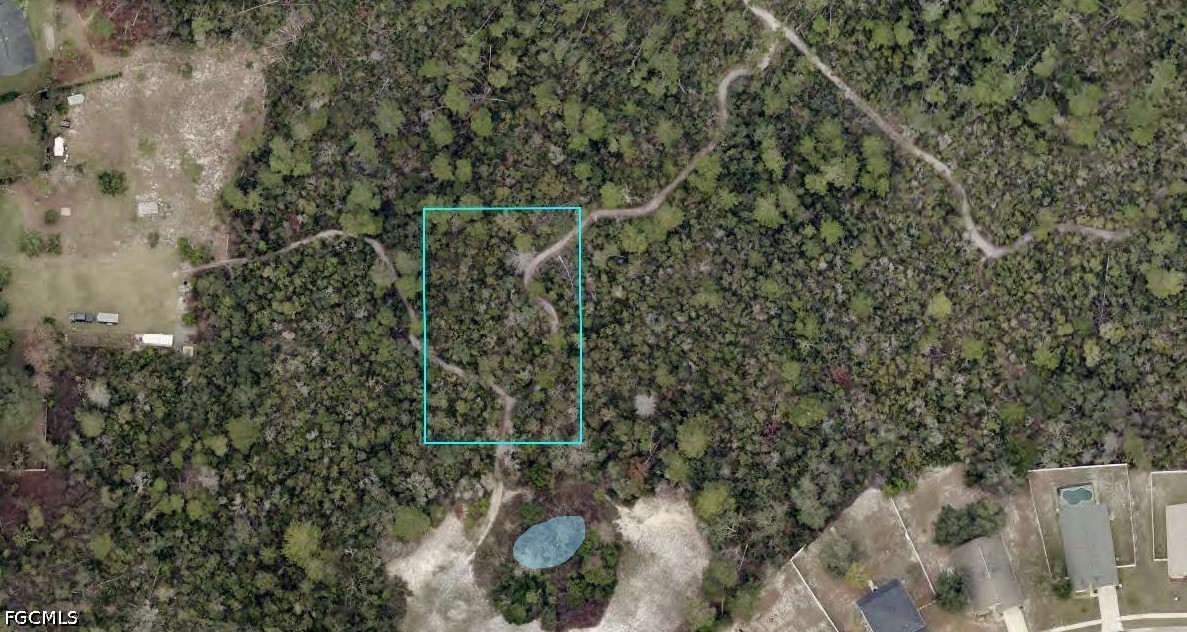 Morgan (paper) St Property Photo 1