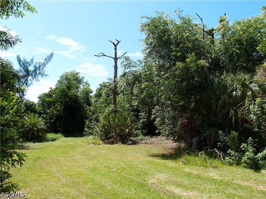 3615 Papaya St Property Photo 3