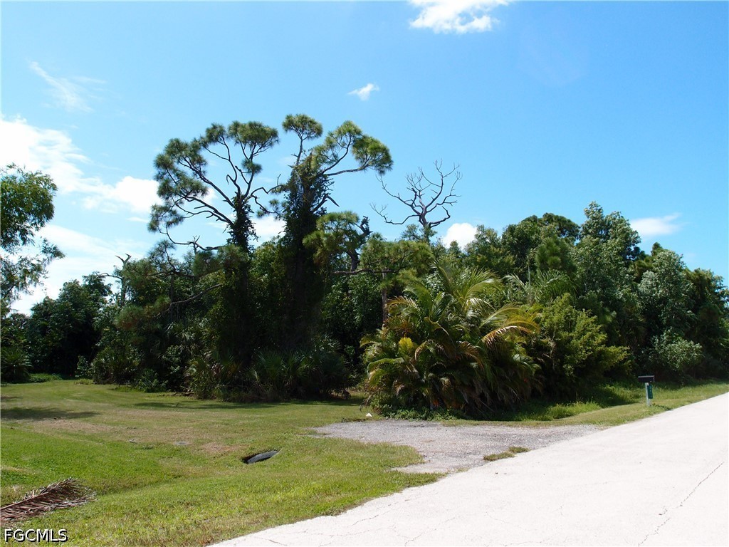3615 Papaya St Property Photo 4
