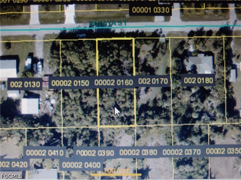 3631 Papaya ST Property Photo 1