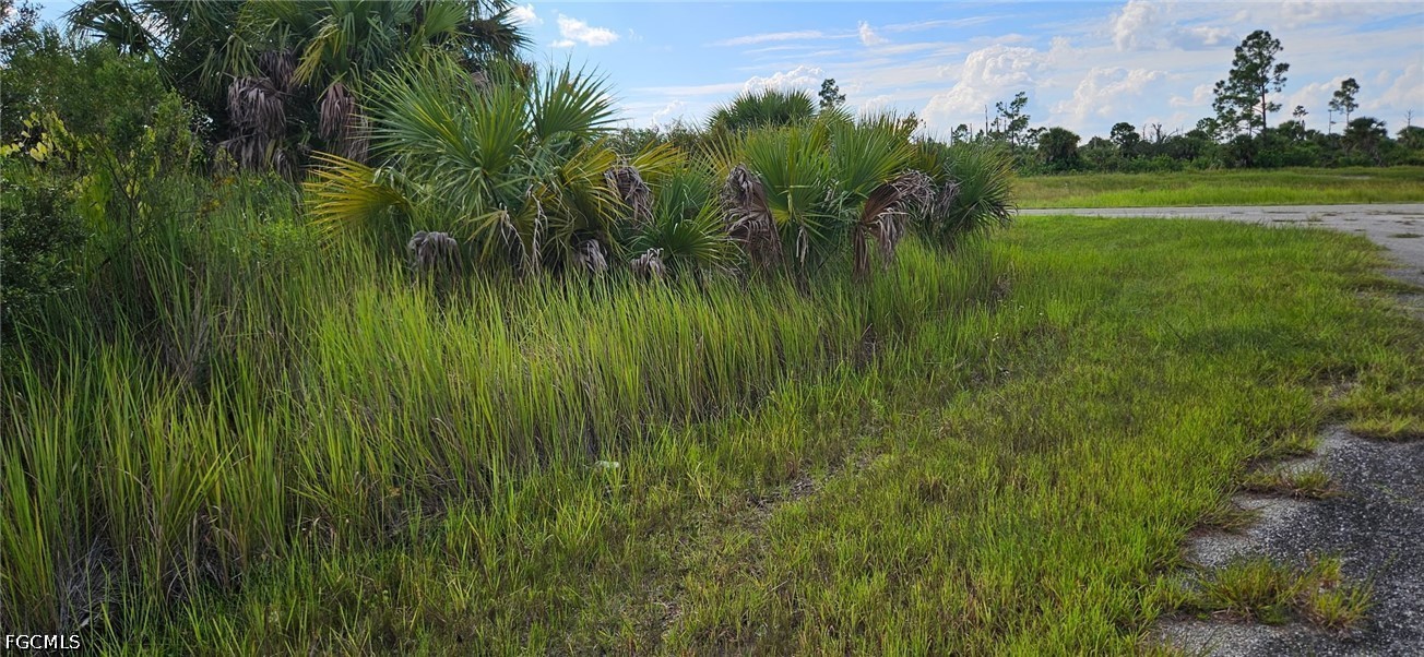 Lot 12 Stuckert St Property Photo 2