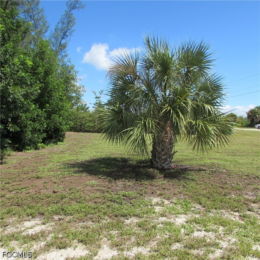3582 Stabile Rd Property Photo 8