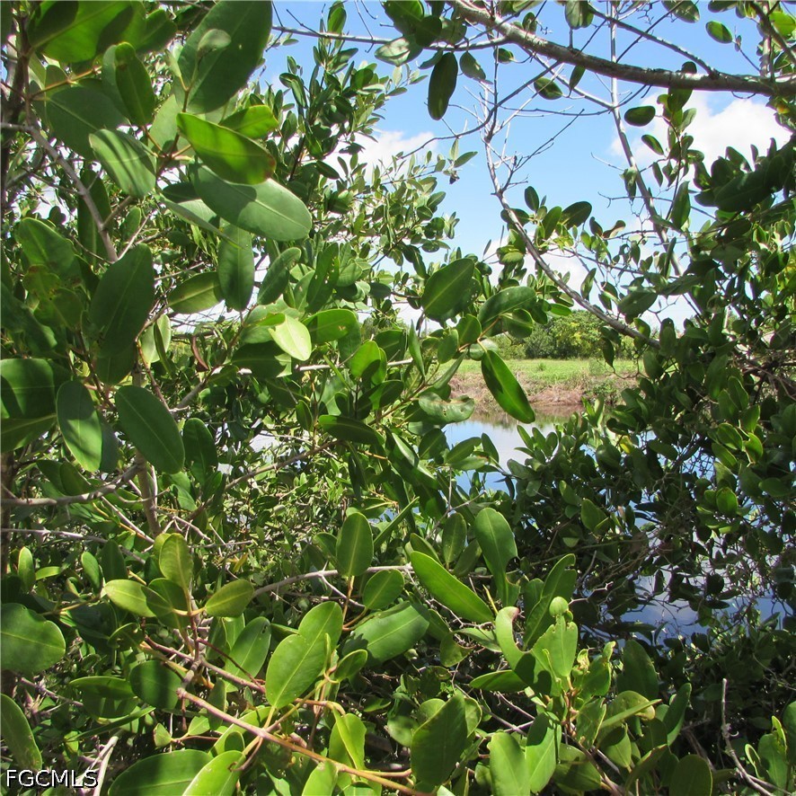 3582 Stabile Rd Property Photo 12