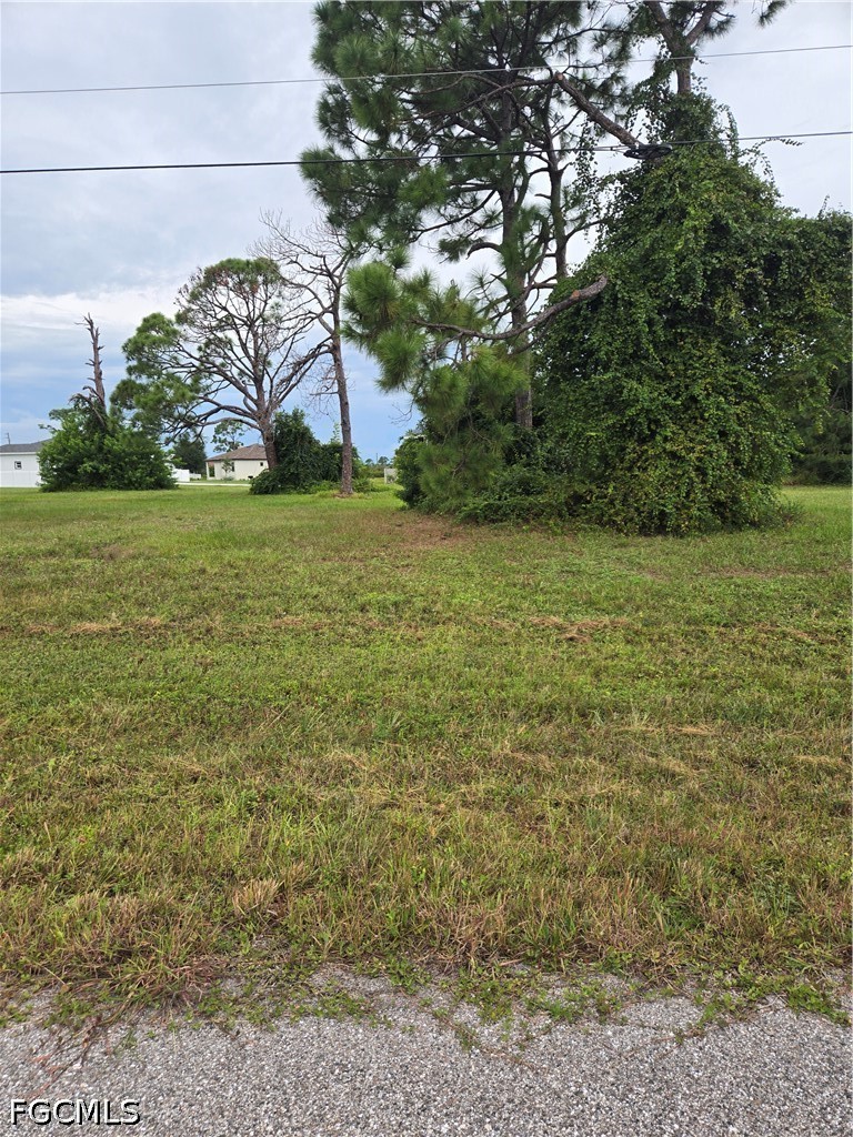 6 Masthead RD Property Photo 1