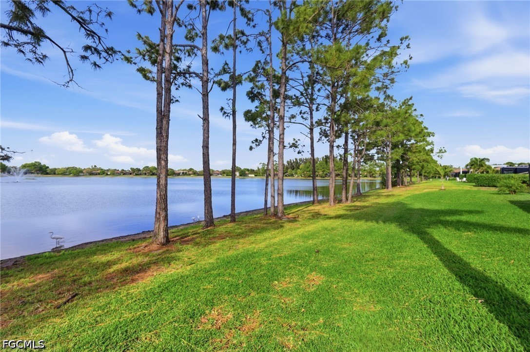 13803 Golden Palms Cir Property Photo 30