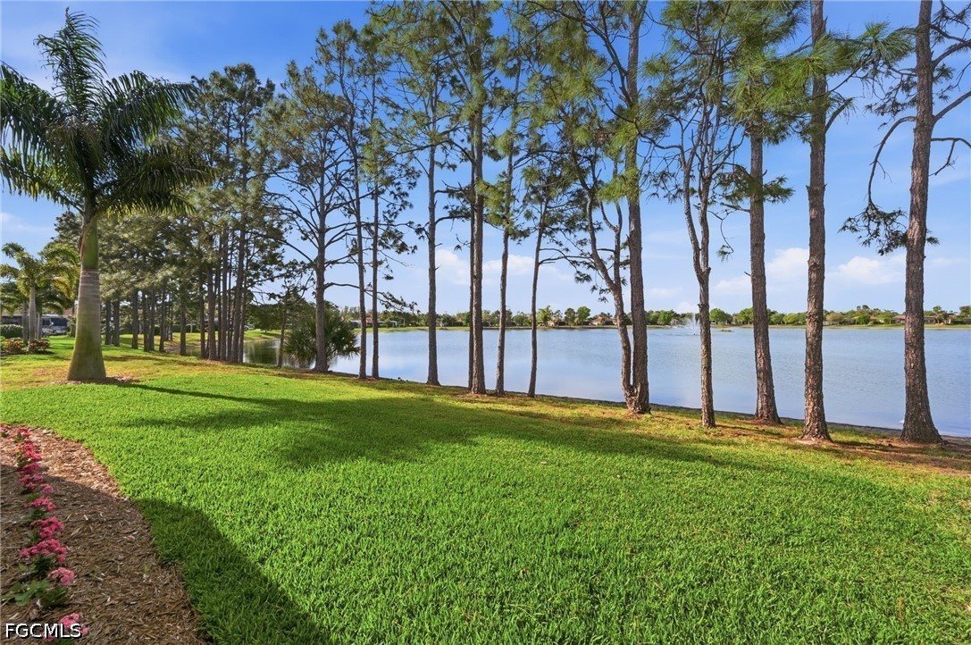 13803 Golden Palms Cir Property Photo 36