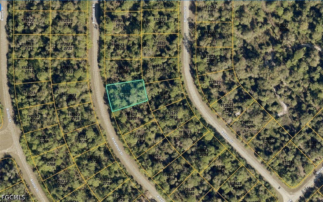 1125232808 Breadnut St Property Photo 2