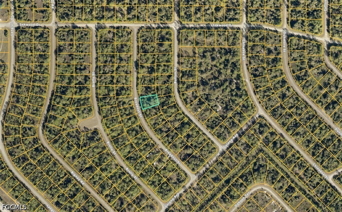 1125232808 Breadnut St Property Photo 3