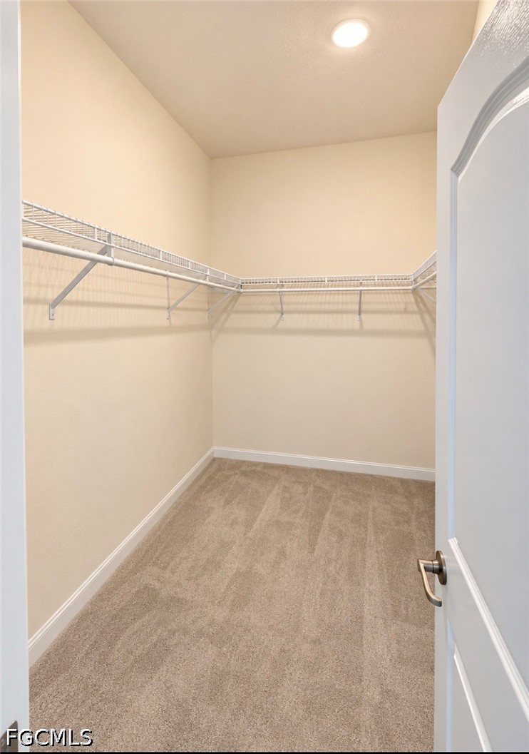17501 Corkwood Bend Trl Property Photo 11