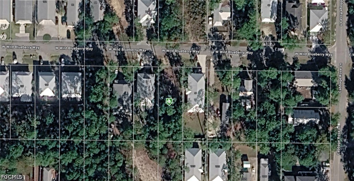 W Wild Blueberry Way Property Photo 1