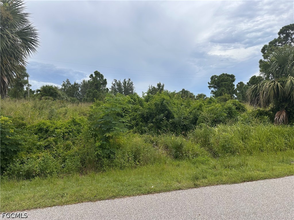 26265 Scham RD Property Photo 1