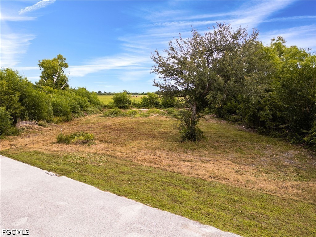 4491 Pine Hill Ct Property Photo 4