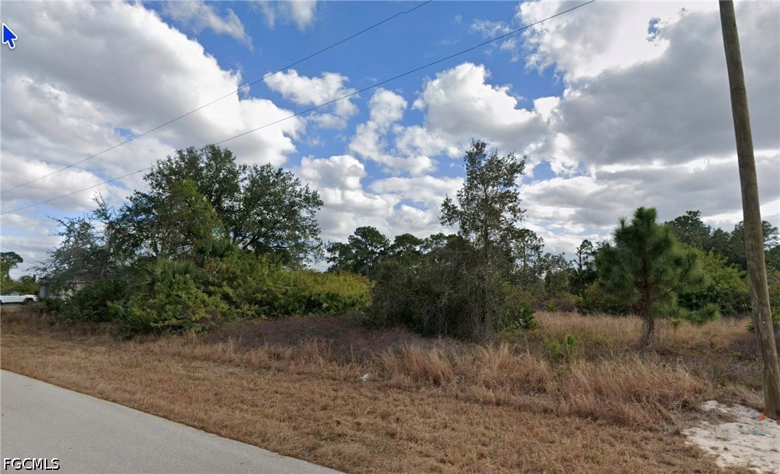 1132 Randolph St Property Photo 3