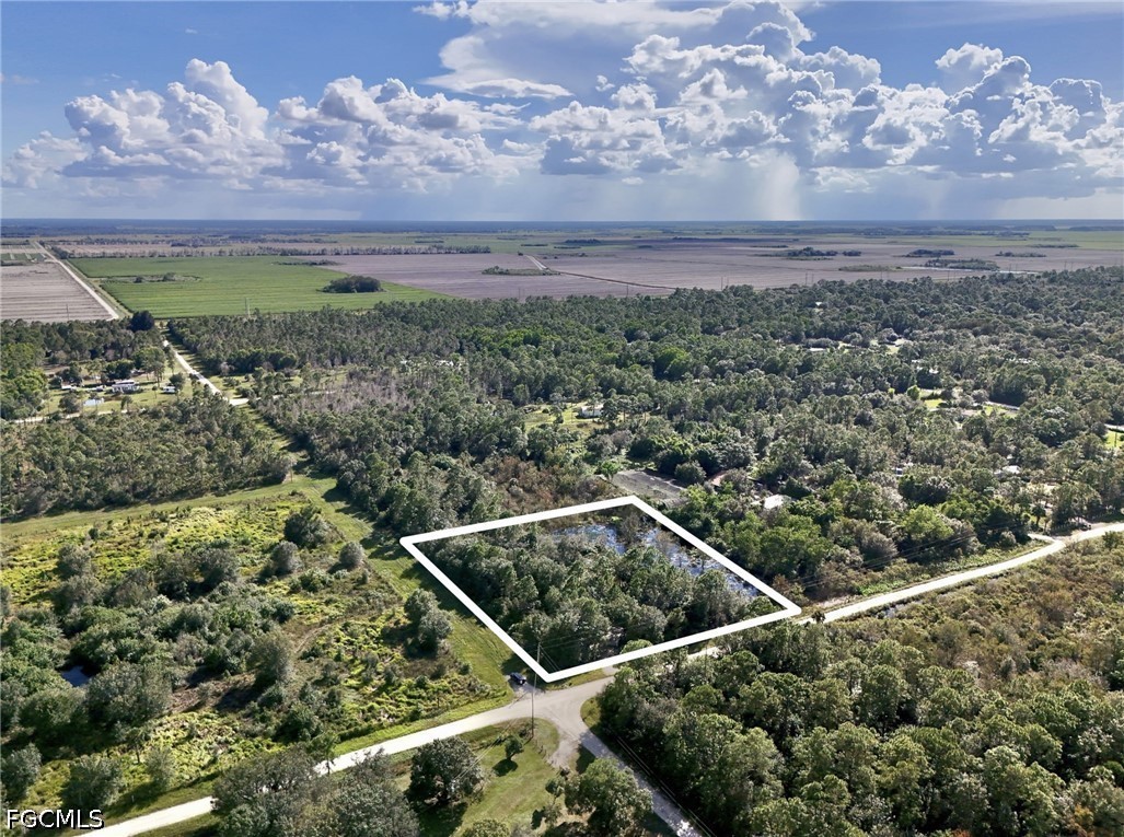 240 Tampa Ave Ave Property Photo 45