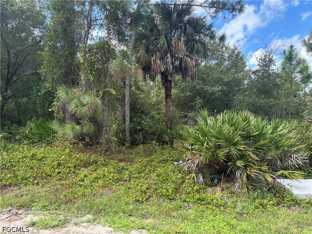 1113 Euclid Ave Property Photo 3