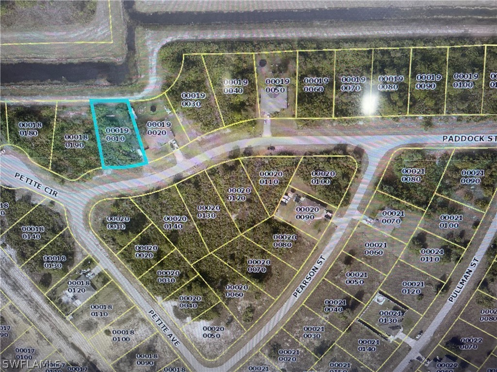 307 Paddock St Property Photo 1