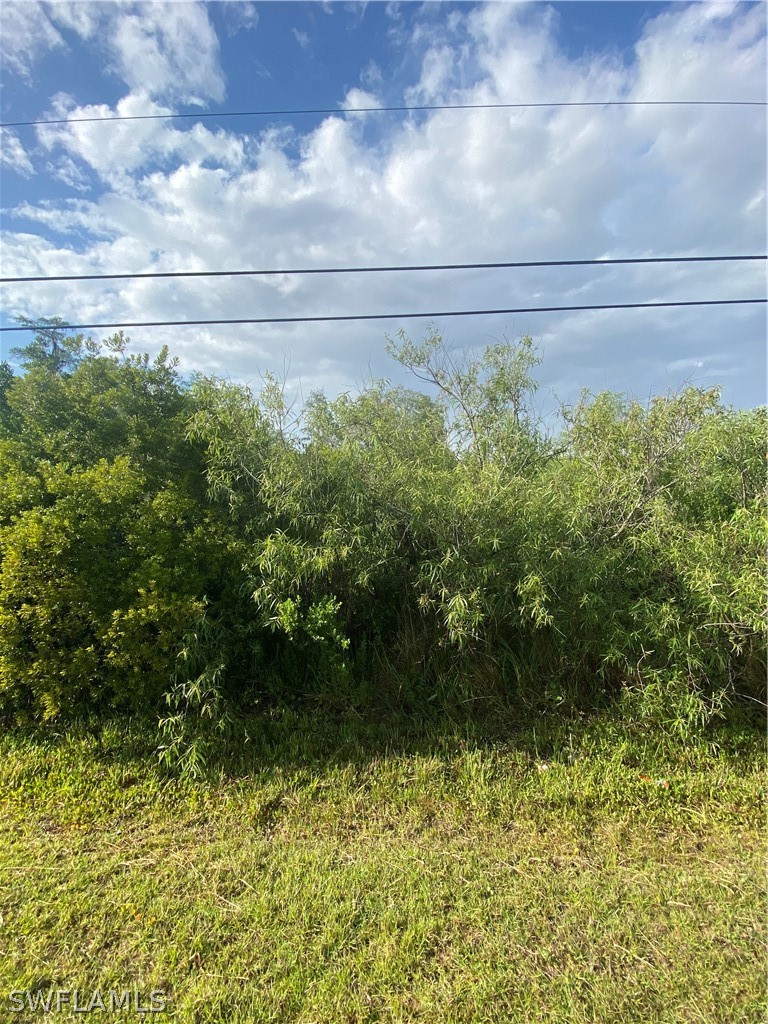 3894 Mango St Property Photo 2
