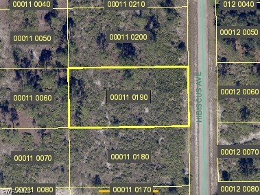 1613 Hibiscus Ave Property Photo 1